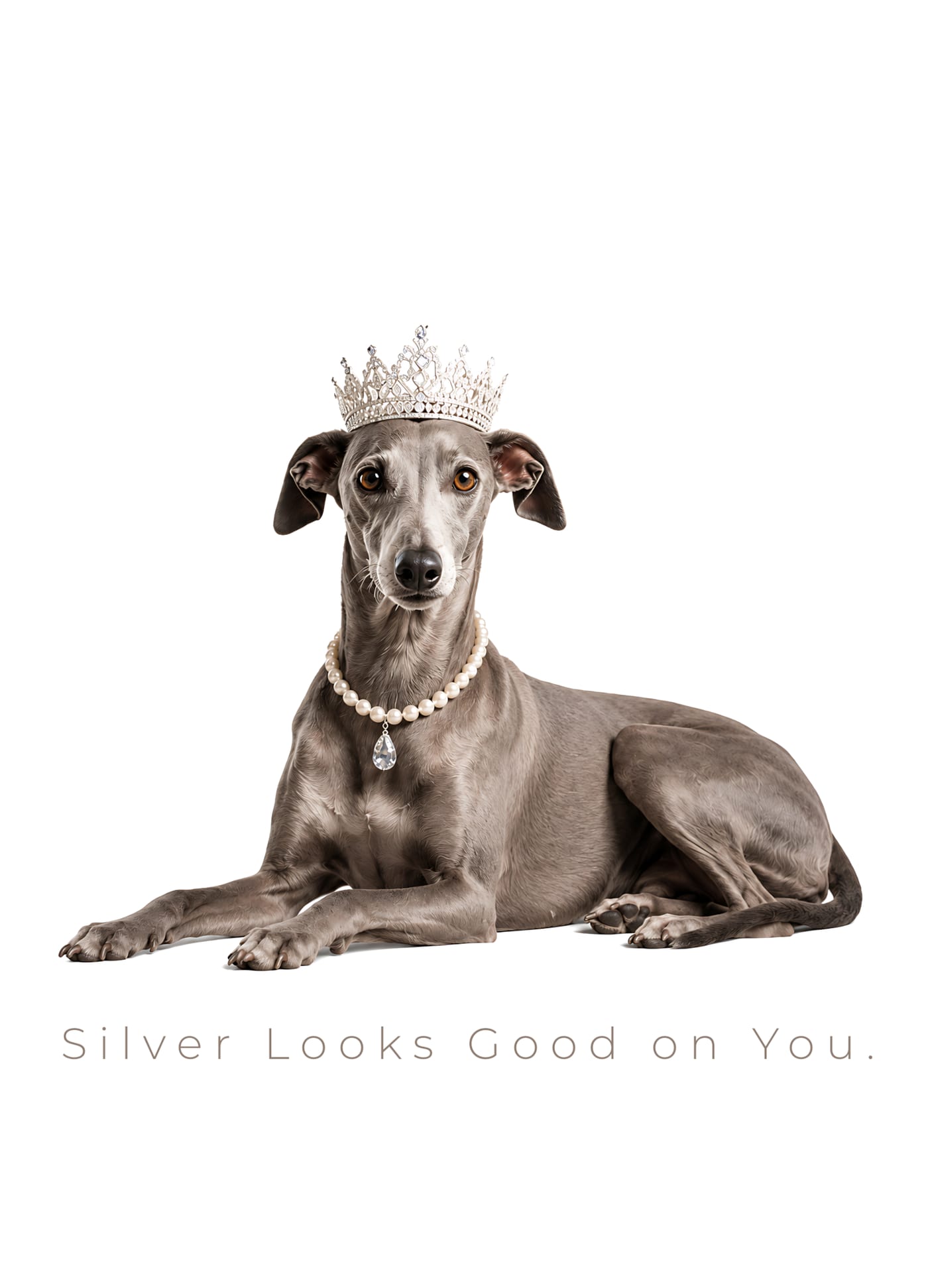 25th anniversary card: a silver Italian Greyhound wearing a crystal tiara and pearl necklace against a white background, headline "Silver Looks Good on You".
